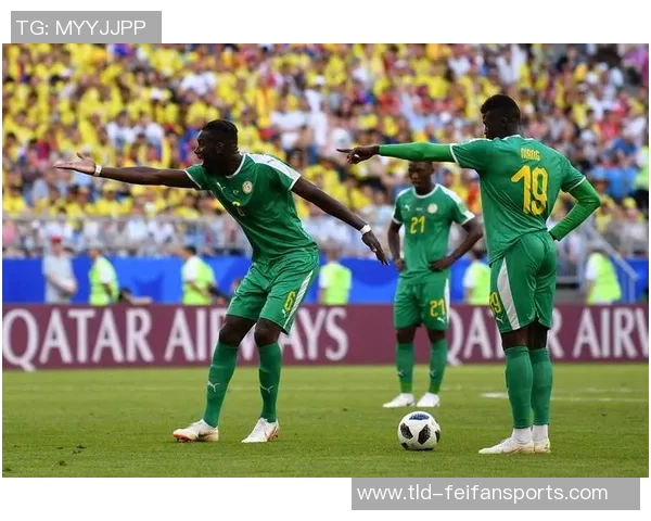 【赛历】除了欧洲杯奥运会,2024还有哪些重要比赛?——全面解析2024体育盛事 【赛历】除了欧洲杯奥运会,2024还有哪些重要比赛?——全面解析2024体育盛事