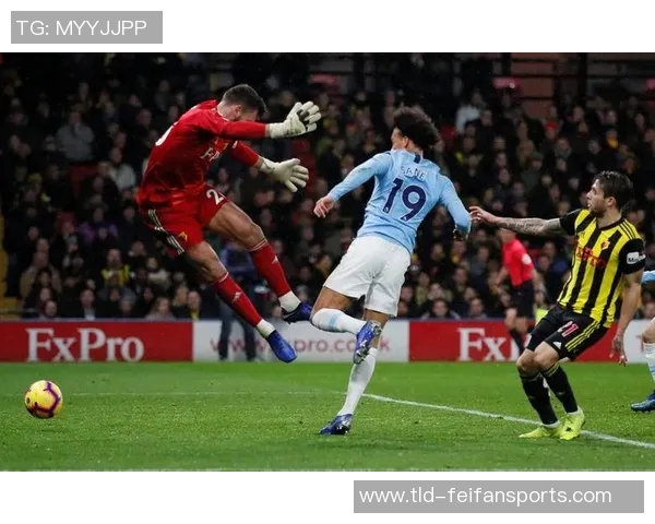 沃特福德VS谢菲尔联:英超绿茵的激烈角逐与赛季新篇章 沃特福德VS谢菲尔联:英超绿茵的激烈角逐与赛季新篇章