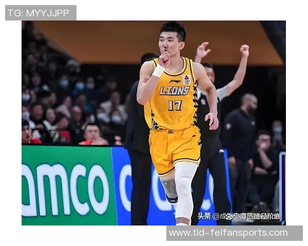 浙江广厦16-17赛季总结:问题变少了希望变多了 浙江广厦16-17赛季总结:问题变少了希望变多了